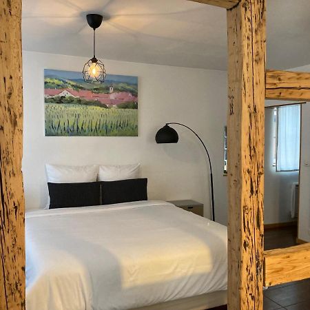 Parenthese Alsacienne Apartment Schiltigheim Luaran gambar