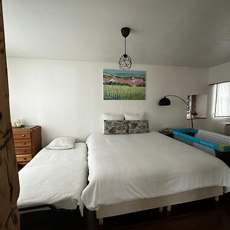 Parenthese Alsacienne Apartment Schiltigheim Luaran gambar