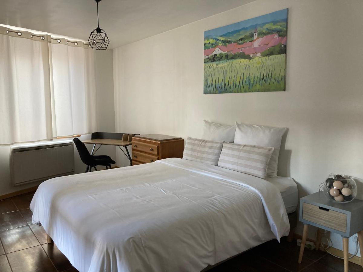 Parenthese Alsacienne Apartment Schiltigheim Luaran gambar